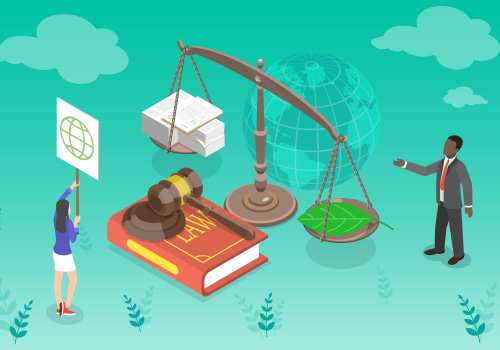 Managing Plan Reviews and Amendments